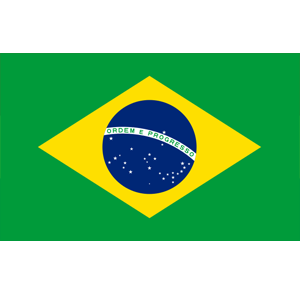 brzil.png